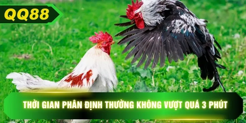 Thời gian phân định thường không vượt quá 3 phút