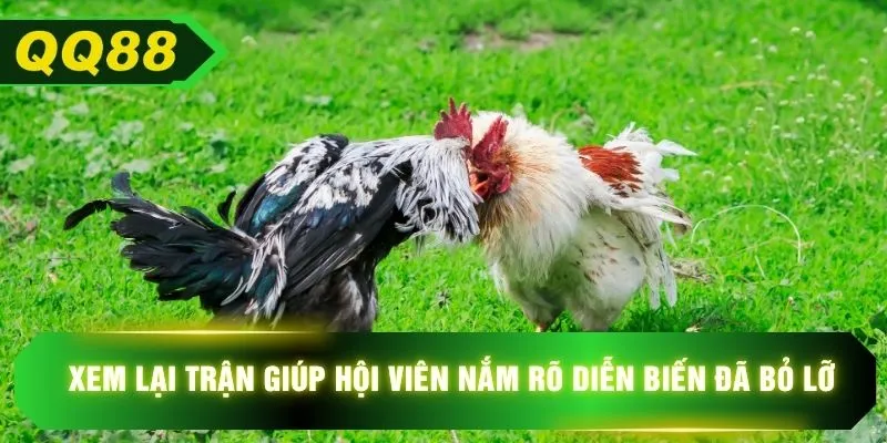 Xem lại trận giúp hội viên nắm rõ diễn biến đã bỏ lỡ